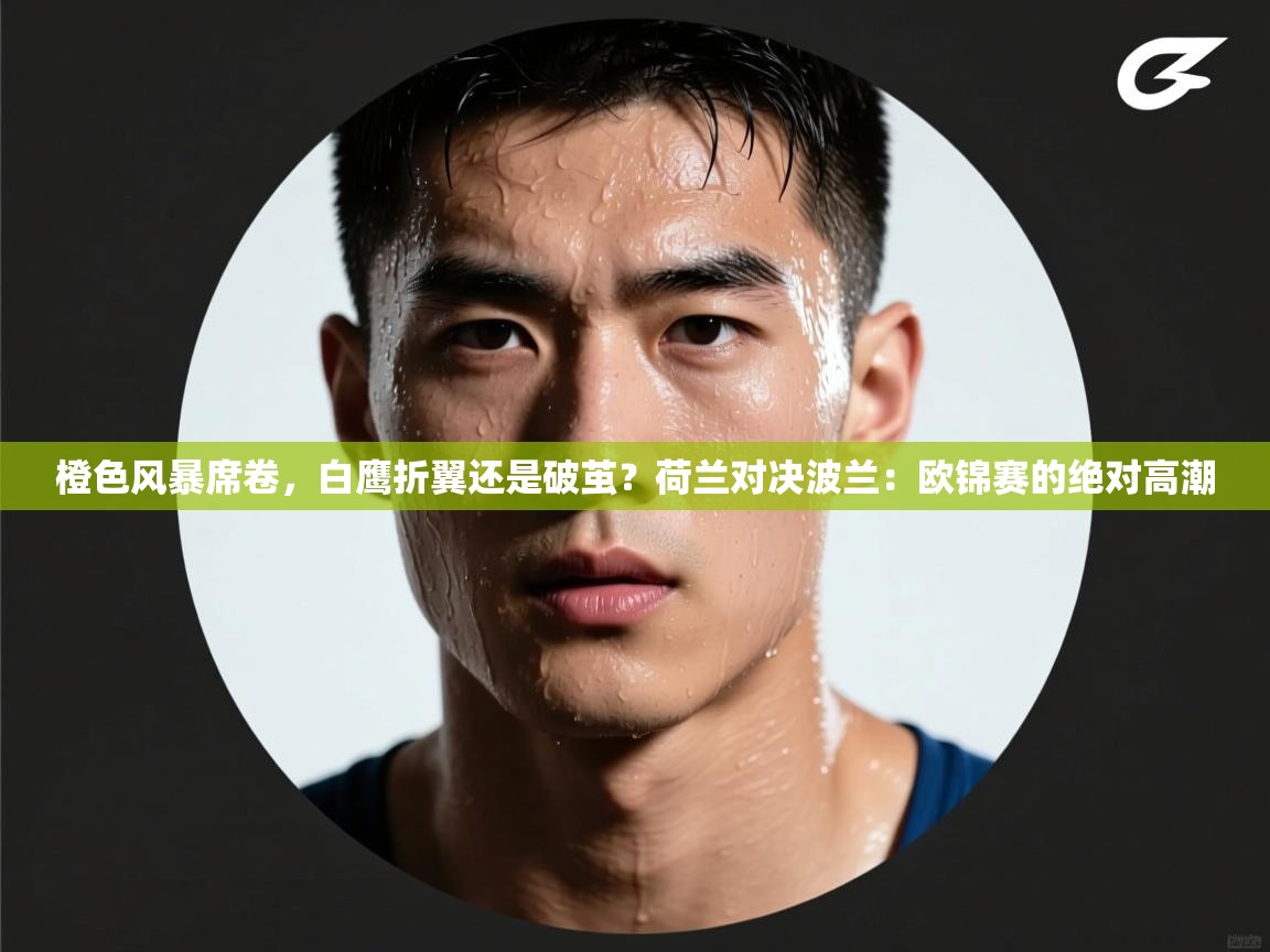 橙色风暴席卷，白鹰折翼还是破茧？荷兰对决波兰：欧锦赛的绝对高潮  第2张