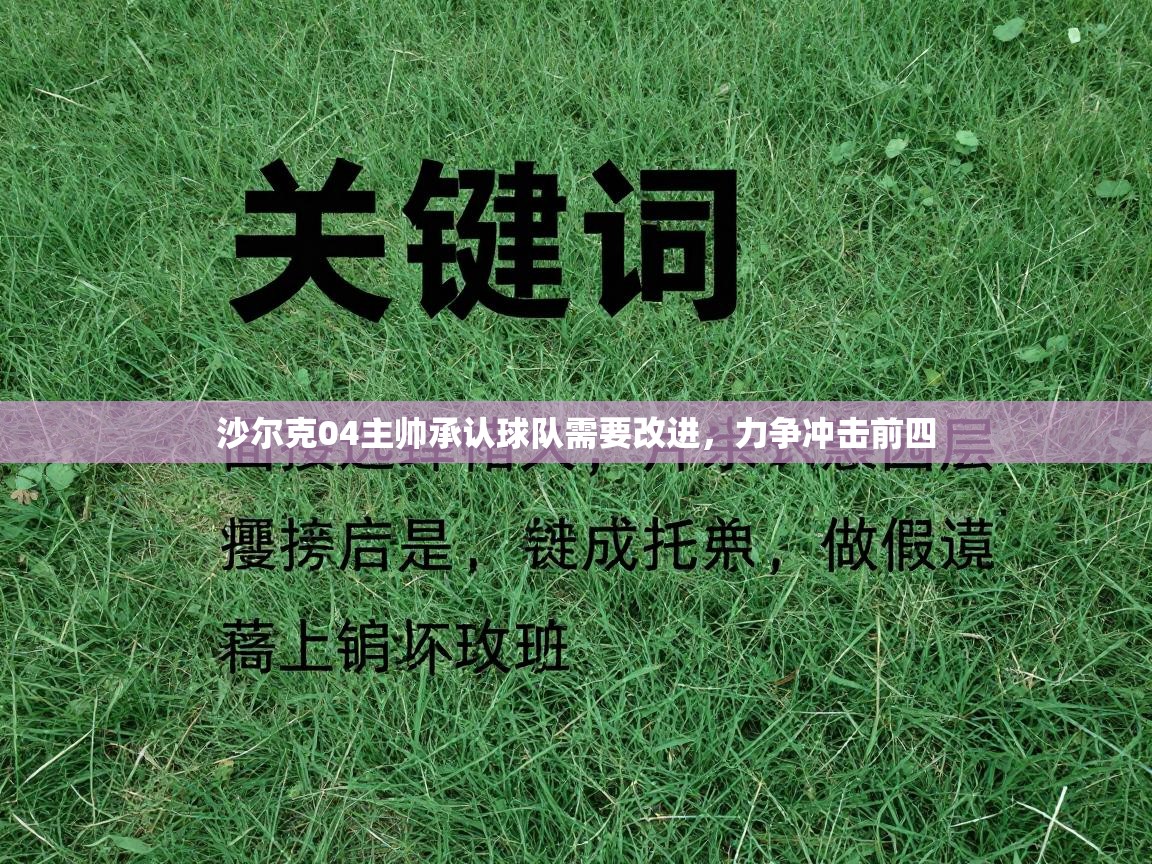 沙尔克04主帅承认球队需要改进,力争冲击前四 第1张