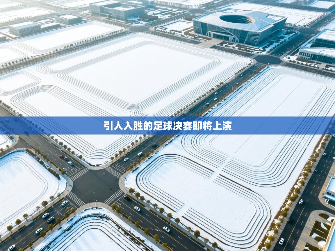 引人入胜的足球决赛即将上演 第2张