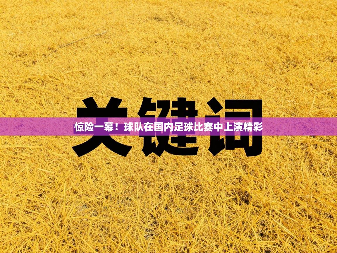 惊险一幕！球队在国内足球比赛中上演精彩  第2张