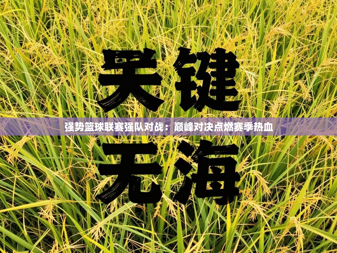 强势篮球联赛强队对战:巅峰对决点燃赛季热血 第1张