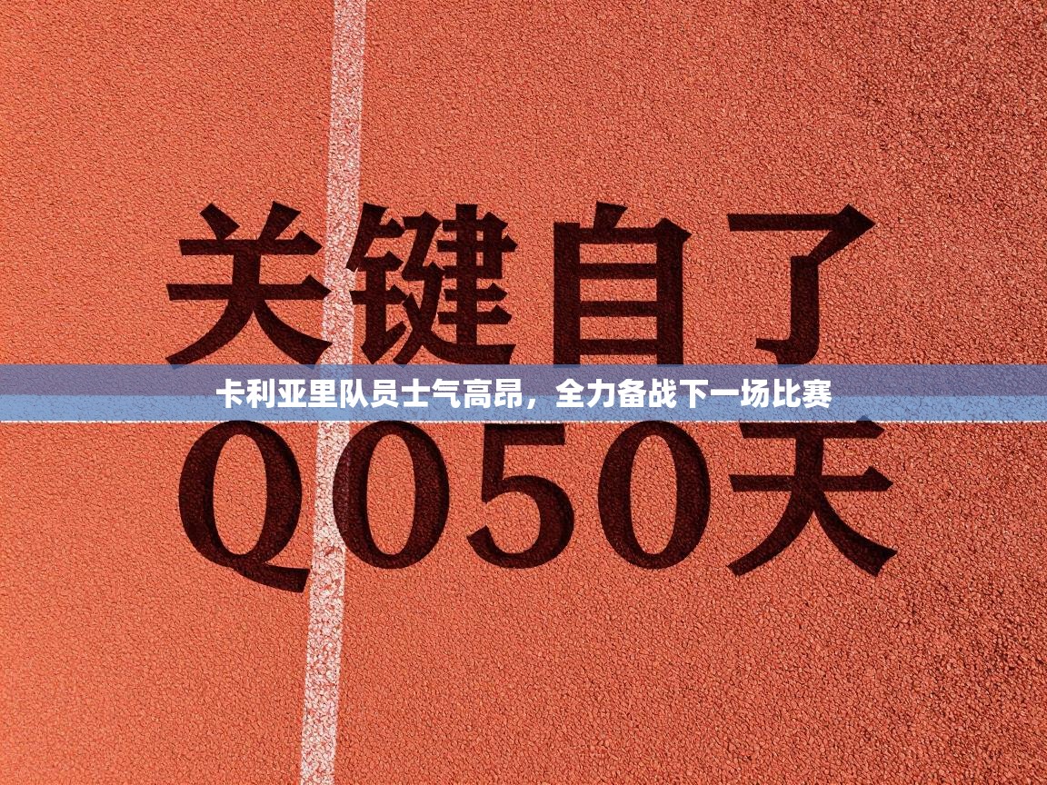 卡利亚里队员士气高昂,全力备战下一场比赛 第2张