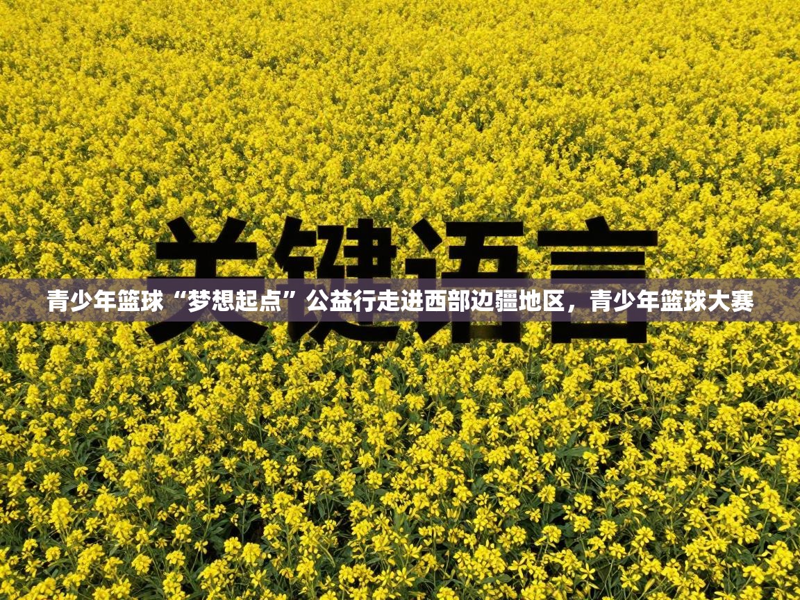 青少年篮球“梦想起点”公益行走进西部边疆地区,青少年篮球大赛 第2张