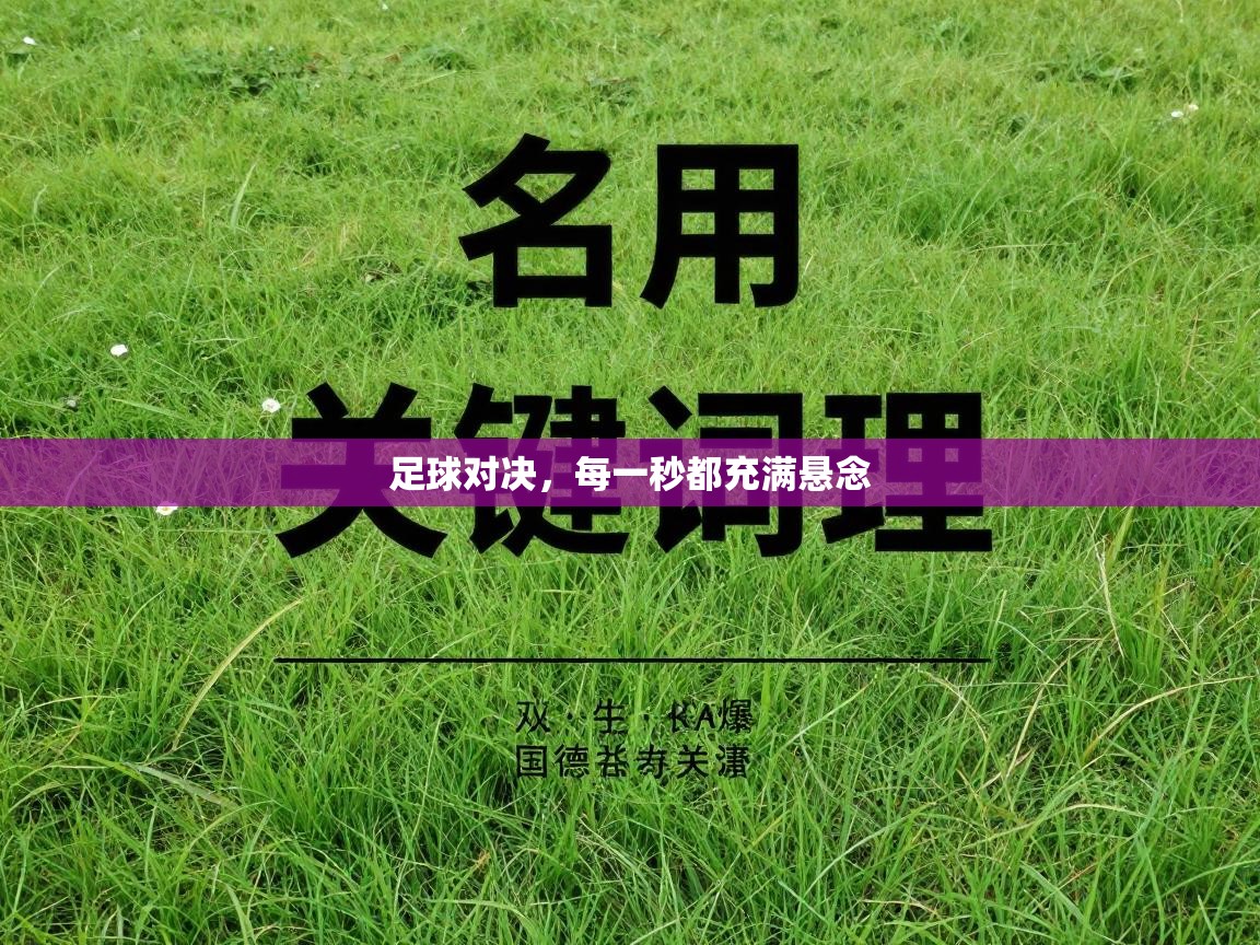足球对决，每一秒都充满悬念  第2张
